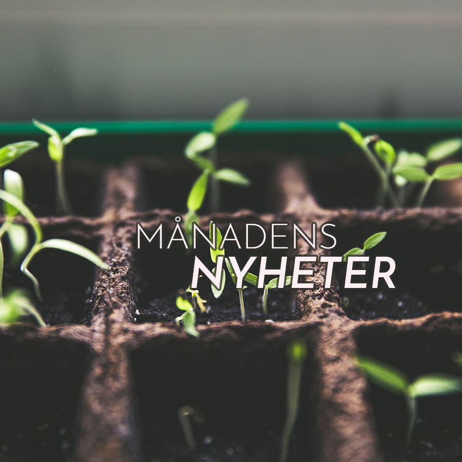 Mnadens nyheter